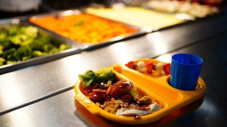 Free School Meals for All Primary Children